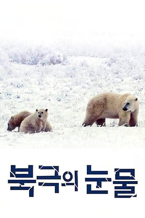 북극의 눈물 포스터