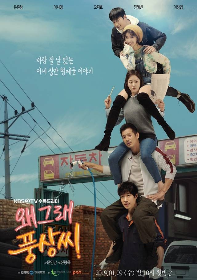 왜 그래, 풍상씨 포스터